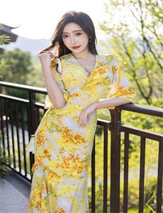 变形金刚塞伯坦之谜